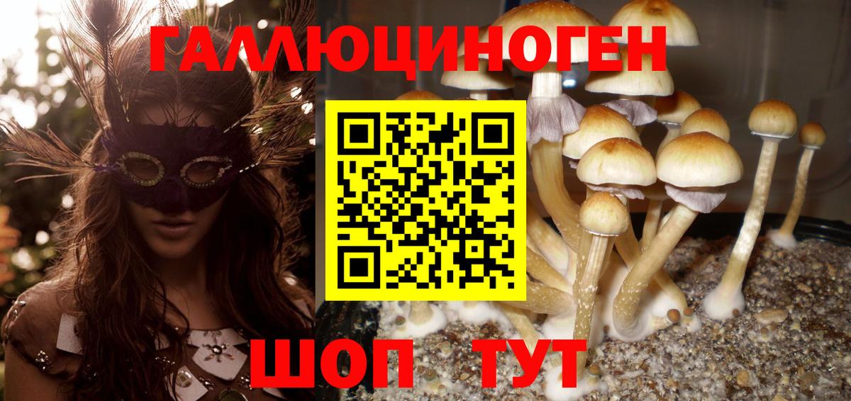 Галлюциногенные грибы мицелий  Вход с VPN  даркнет сайт  Сургут 