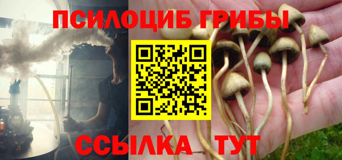 Галлюциногенные грибы MAGIC MUSHROOMS Сургут